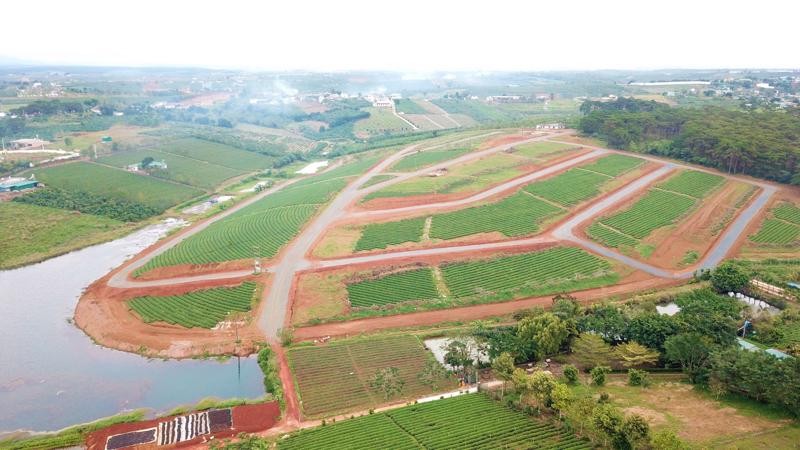 Lâm Đồng: Tìm ra trùm phân lô số 1 Việt Nam, băm nát quả đồi hơn 10ha để bán không cần lập doanh nghiệp