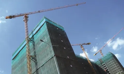 Tam đấu Coteccons - Newtecons - Central