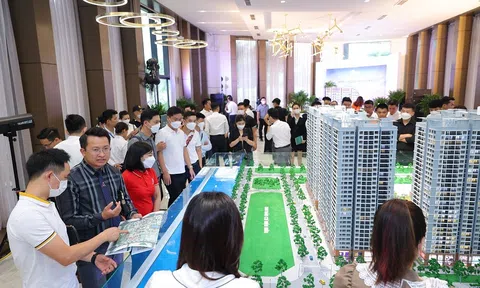 Nhu cầu mua và thuê tăng cao, căn hộ chung cư được giới đầu tư ưa chuộng