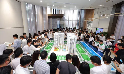 Căn hộ sơ cấp tại nội đô: Điểm sáng hấp dẫn người mua