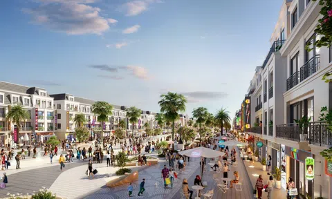 Hấp lực của bất động sản đa năng