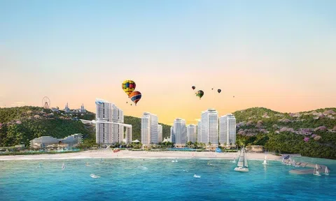 MerryHome, dòng sản phẩm mới thu hút đa dạng khách hàng tại Quy Nhơn - Bình Định