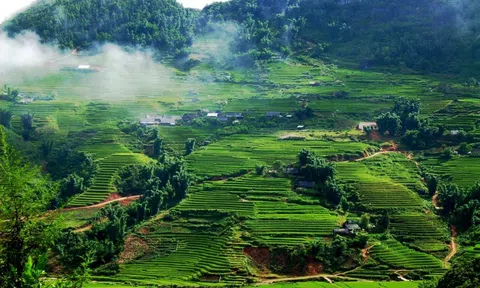 Sơn La sẽ có Khu bảo tồn hệ sinh thái nông nghiệp hơn 1.500ha tại Mộc Châu