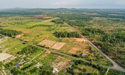 Đất nền khó bán nhất giữa dịch bệnh