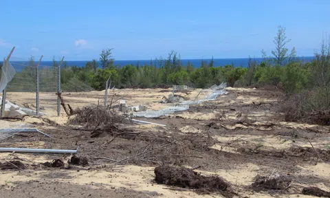 Phá "nhầm" 5,26 ha rừng phòng hộ làm nhà máy điện: Chủ đầu tư lại đổ lỗi cho dân!