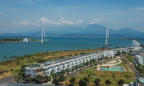 'Cò' đẩy giá đất ở Đà Nẵng lên cả trăm triệu mỗi lô