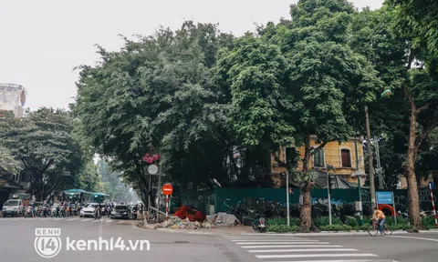 Biệt thự Pháp cổ rộng 1.000m2 bỏ hoang trên "khu đất kim cương" của Hà Nội giờ ra sao?