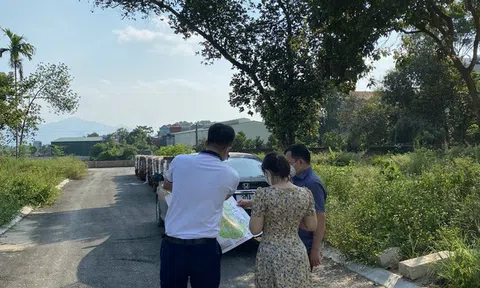 Tràn lan ‘cò đất’ rao bán bất động sản sai sự thật