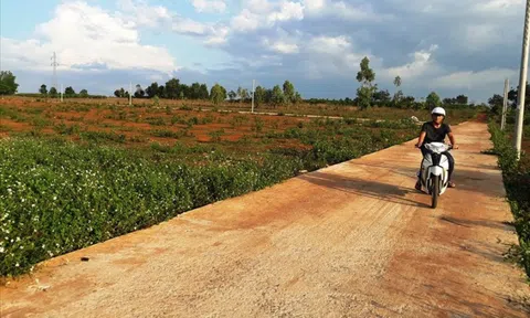 Quan ngại xảy ra chuyện doanh nghiệp BĐS đi gom đất nông nghiệp làm dự án không cần đấu thầu, đấu giá?