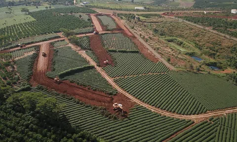 'Thủ phủ' bất động sản lậu: 'Chiêu' hiến đất làm đường, hiến hơn 10ha đất để làm dự án trái phép