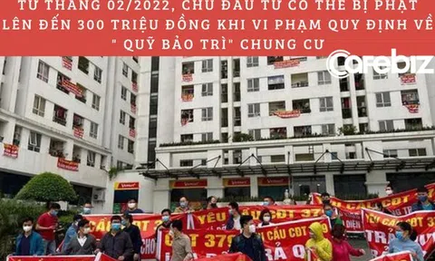 Chủ đầu tư có thể bị phạt đến 300 triệu đồng khi vi phạm quy định liên quan đến "quỹ bảo trì chung cư”