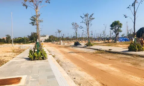 Có nên xuống tiền mua lô đất 20 tỷ khi chủ đất yêu cầu cọc 5 tỷ?