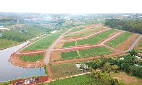 Lâm Đồng: Tìm ra trùm phân lô số 1 Việt Nam, băm nát quả đồi hơn 10ha để bán không cần lập doanh nghiệp