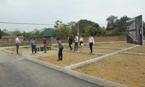 Những tỉnh, thành nào mạnh tay “siết” phân lô, tách thửa đất?