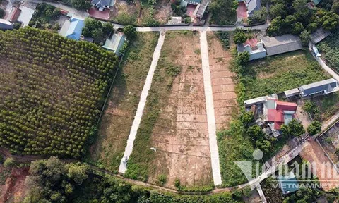 Dừng phân lô tách thửa đất nông nghiệp, đất nền sẽ tăng giá?