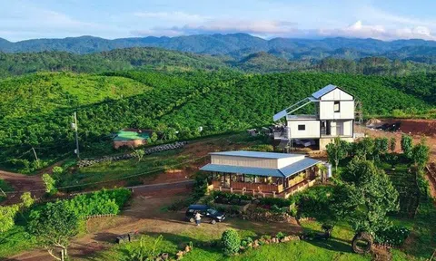 Chủ nhà cay đắng mất nửa tỷ đồng khi mua bán bất động sản bị “gài bẫy” cực tinh vi
