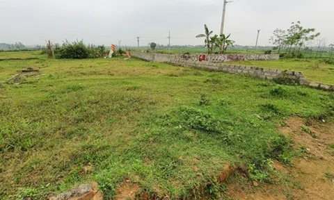 Giá đất tăng 'phi mã', giật mình tiết kiệm 5 năm không mua nổi miếng đất quê