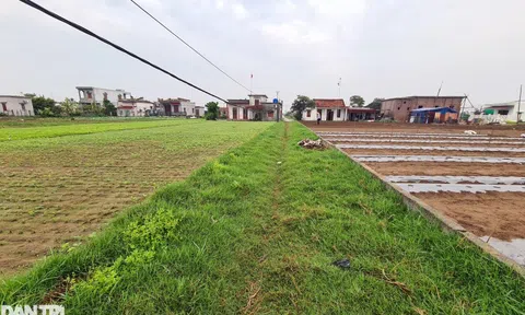 Đất nông thôn "xì hơi", nhà đầu tư liên tục giảm giá để "thoát hàng"