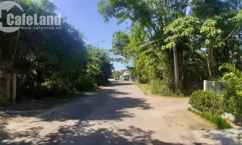 Sốt đất thường xảy ra vào thời điểm nào, ở đâu?