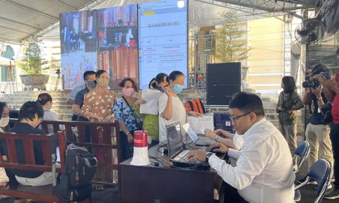 Bị hại vụ Alibaba phơi bày sự thật bị dắt vào... rừng!