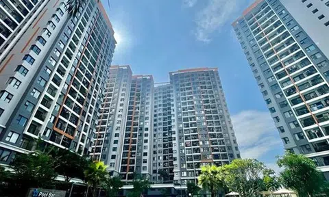 Nhu cầu tìm mua chung cư tại TP.HCM tăng 68%, tăng nhiều nhất tại Bình Thạnh, Quận 9, Bình Chánh...