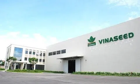 Chiều tăng trưởng tích cực tại Vinaseed ngay trong quý đầu năm 2024