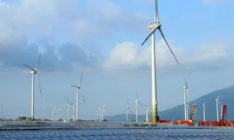 Ninh Thuận xác định năng lượng tái tạo và du lịch là mũi nhọn kinh tế