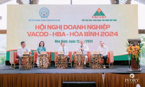 Tập đoàn Việt Mỹ tài trợ hội nghị Vacod – HBA Hoà Bình năm 2024