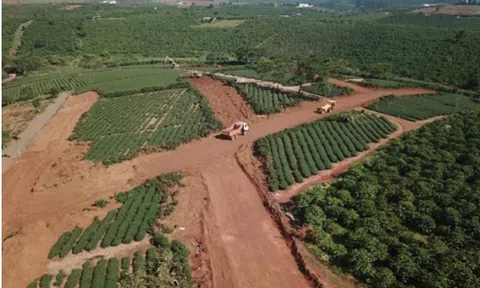 Bộ Xây dựng: 'Có cá nhân mua cả một quả đồi rồi tách bán 2.000 lô đất mà không lập dự án'