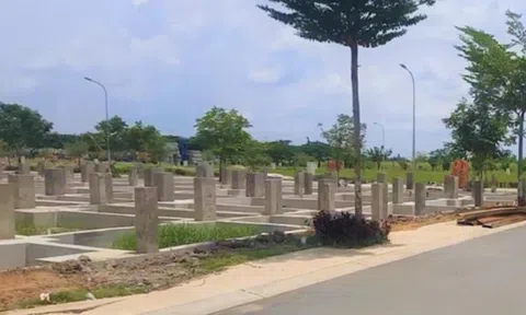 Vì sao Vạn Phát Hưng bị đình chỉ kinh doanh bất động sản?