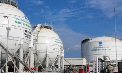 Kiểm toán Nhà nước 'bêu tên' loạt doanh nghiệp dầu khí sử dụng đất sai mục đích