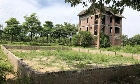 Nhà đầu tư không nên vồ vập “ôm” đất đấu giá đã đạt đỉnh