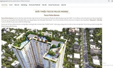 Cận cảnh dự án “ma” Tecco Felice Homes