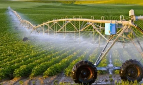 Cần Thơ 'khai tử' dự án hơn 3.580 tỷ đồng của Tập đoàn T&T