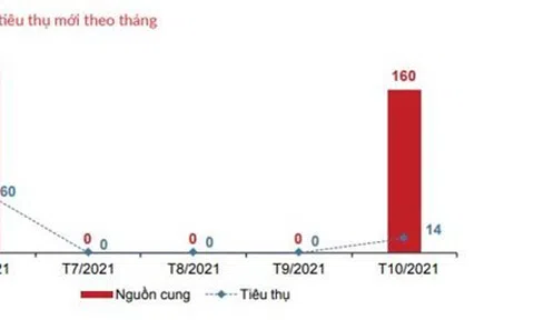 Thị trường BĐS phía Nam: Condotel, shophouse biển tiếp tục ảm đạm - Nhà phố, biệt thự nhiều tín hiệu tích cực