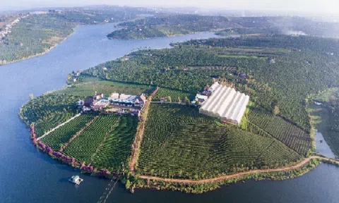 5 đại gia BĐS "so găng" tại siêu dự án 15.000ha tại Lâm Đồng là ai?