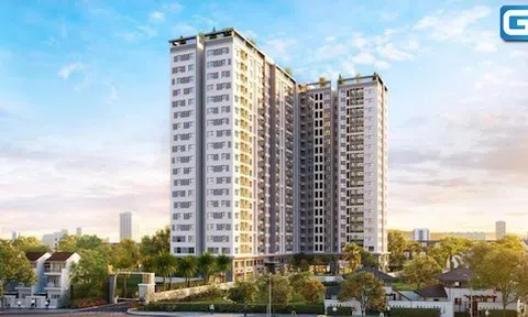 Điền Phúc Thành và Rio Land: Nhận cọc giữ chỗ của hàng trăm khách hàng khi dự án MT Eastmark City mới chỉ là bãi đất trống