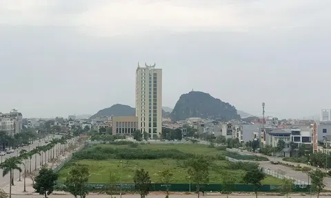 Ôm dự án gần 10 năm không triển khai, Nguyễn Kim xin trả lại 2,2ha “đất vàng”