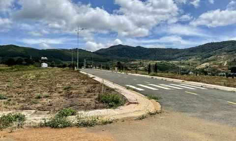 Lâm Đồng dừng tách thửa, rà soát việc hiến đất làm đường