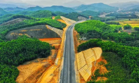 Lâm Đồng xin chuyển 486ha rừng làm cao tốc Bảo Lộc - Liên Khương