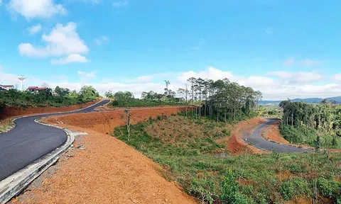 Tin bất động sản ngày 26/2: Kon Tum thanh tra toàn diện dự án lấy đất rừng làm khu biệt thự