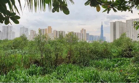 Xuất hiện giá "ảo" sau đấu giá đất Thủ Thiêm, có dự án giá bán hơn 38 tỷ đồng/sản phẩm