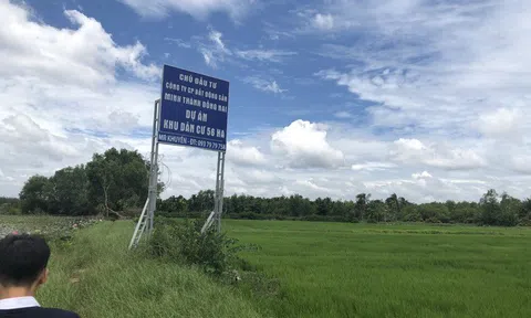 Công ty Kim Oanh bị lừa đảo chiếm đoạt hai dự án gần 2.500 tỷ đồng?