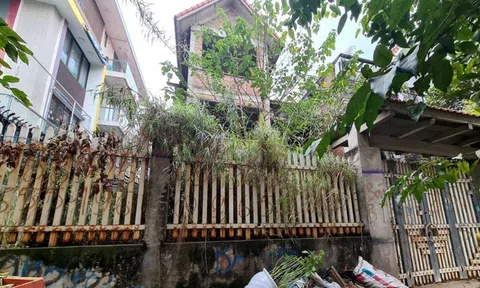 Biệt thự để cỏ mọc um tùm nhưng được "hét giá" khiến đại gia "bỏng tay"