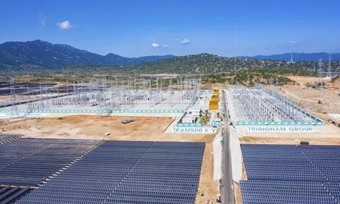 Trung Nam Group: Nợ trái phiếu hàng chục nghìn tỷ, áp lực trả nợ 'ăn mòn' lợi nhuận doanh nghiệp