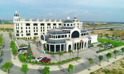 Novaland – mở rộng quỹ đất và địa bàn hoạt động, Duy trì vị thế dẫn đầu thị trường bất động sản Việt Nam