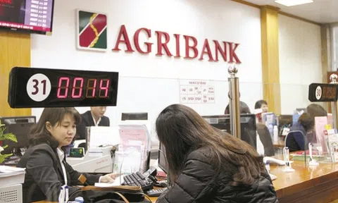 Agribank đấu giá 1 bất động sản tại quận Bình Thạnh, TP. HCM, khởi điểm 167 tỷ đồng