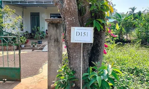 Đắk Lắk: Tung tin đồn, cắm biển báo quy hoạch giả để "thổi giá" đất lên gấp 10 lần