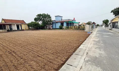 Lý do sâu xa khiến giá đất méo mó, không đúng giá trị thật