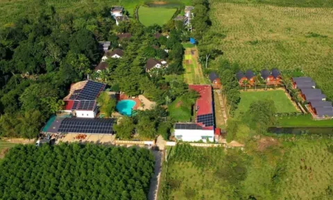 9X Hà Nội “bỏ phố về rừng”, đầu tư farmstay và nhận cái kết đắng, chuyên gia chỉ ra những sai lầm khiến nhà đầu tư "chết" vốn